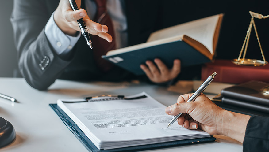 Căn cứ giải quyết tranh chấp đất đai